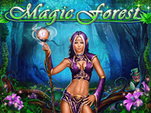 Автомат Magic Forest от Playson с быстрым снятием денег